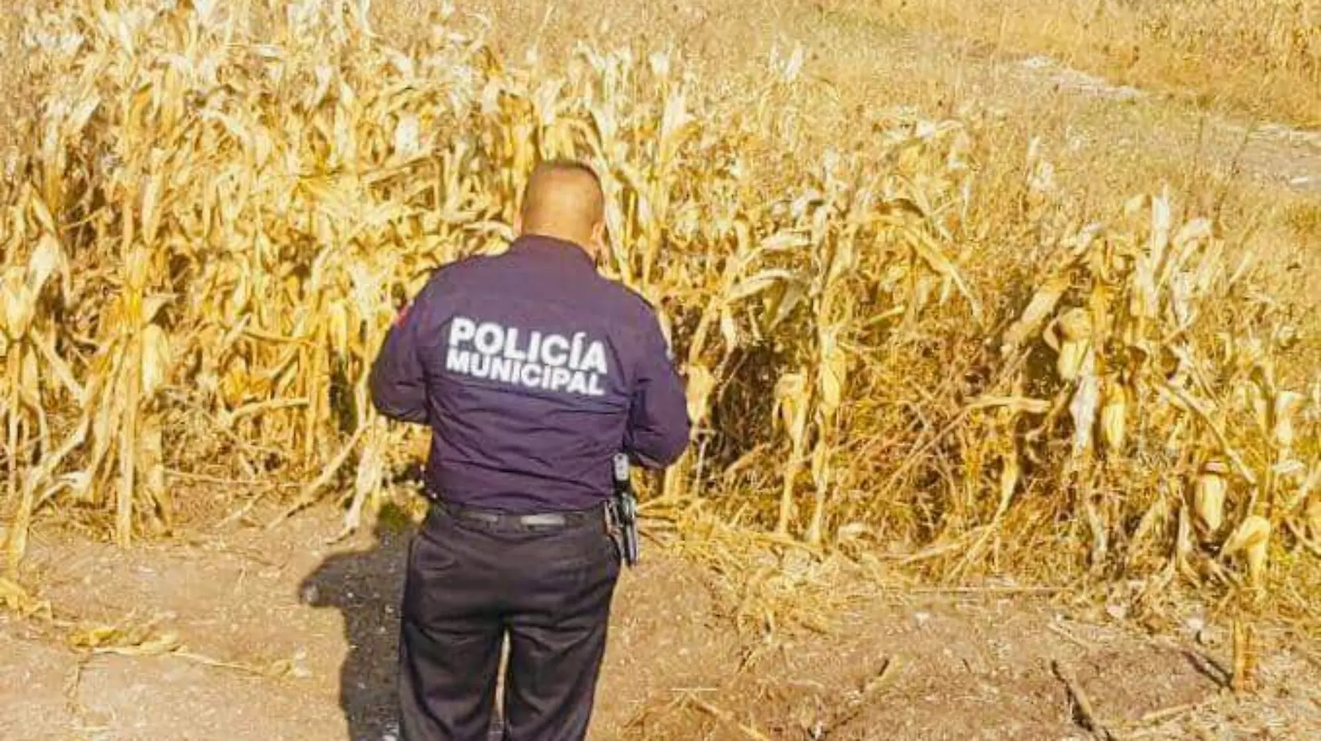 De octubre a la fecha, en Pedro Escobedo han detectado tres tomas clandestinas. Foto Especial